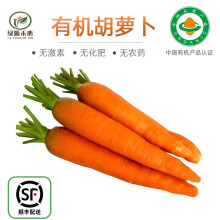 绿源禾心有机胡萝卜 新鲜蔬菜约2.5kg 蔬菜认证生鲜配送【顺丰速运】
