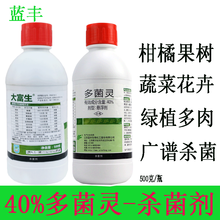 蓝丰 40%多菌灵杀菌剂 多菌菌灵通用花药百菌淸多箘灵多肉植物花卉除菌花卉月季果树大田广谱杀菌剂 500克/瓶*6瓶