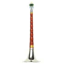 唢呐乐器全套 初学者民族入门小号喇叭锁呐哨片 49花梨D白碗+教学1本+赠品5种