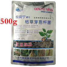 瀚鑫 根腐宁农用枯草芽孢杆菌地衣牙包苞干根腐病微生物菌肥500克 2500克