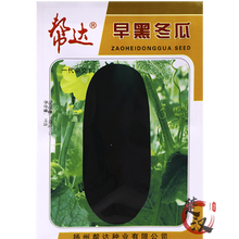 一播大地 节瓜种子 冬瓜种子粉皮冬瓜 黑皮冬瓜 绿皮冬瓜种子 蔬菜 种子 阳台种菜 盆栽 易种 早黑冬瓜种子原装10g