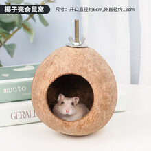 宠尚天 椰子壳仓鼠窝宠物保暖用品刺猬松鼠金丝熊睡窝小窝蜜袋鼯屋小房子 精雕天然椰子窝 S