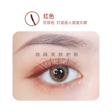 LEEMEMBER荔萌睫毛膏防水卷翘浓密持久不晕染咖色红色彩色 睫毛膏送女友送女友 红色