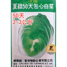 越夏耐热大白菜种子夏播白菜种籽耐抽薹夏秋种植蔬菜高产抗病 夏绿50天白菜进口原装10克