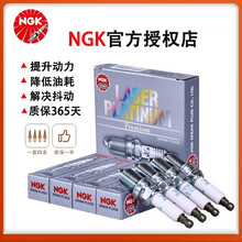 【包安装】NGK 原装铱铂金/双铂金专用火花塞 原厂汽车火嘴(4支价) 适用于 进口大众 途锐 甲壳虫蔚揽迈特威夏朗尚酷辉腾EOS