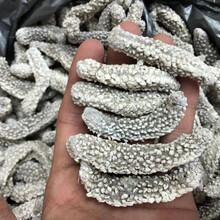 印尼黑刺参 刺黄参海参米刺参淡干海参干货 土耳其刺参 白刺参250g 约55只8年参