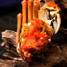 鲜美惊 【全母全公大蟹】大闸蟹鲜活现货螃蟹0.8-4.0两礼盒 (公4.0 母3.0)10只装