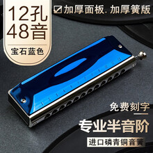 孔声半音阶口琴12孔RE48音蓝鸟十二孔口琴专业演奏初学者晋级乐器