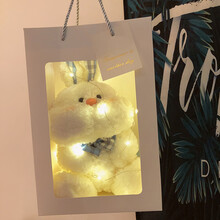 ins可爱兔子生日礼物六一儿童节公仔可爱小熊系娃娃毛绒玩具女超软安抚玩偶娃娃情人节送女友 白色小兔【哈格】(礼袋+灯串) ??