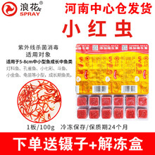 浪花 冰冻红虫红血虫冷冻红虫赤虫红线虫罗汉鹦鹉鱼金鱼锦鲤乌龟七彩发财鱼食料饲料 小虫10片+双冰袋+保温箱