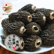 羊肚菌 长白山菌菇山珍干货东北特产 年货礼盒 100g羊肚菌