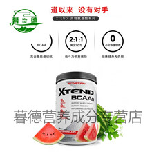xtend支链氨基酸bcaa健身剂谷氨酰胺肌酸bacc支链氨氨基酸 青柠檬味30份