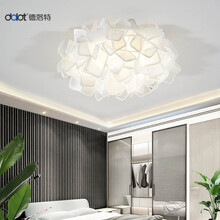 德洛特 卧室灯北欧简约现代吸顶灯具客厅餐厅灯饰温馨浪漫儿童房间灯网红 纯净白 大号 （无极遥控）