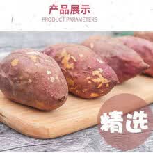 【粉糯香甜】四川现挖新鲜白心红薯沙地番薯地瓜白薯甜蜜薯板栗薯 【精选中果】带箱9.5-10斤