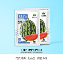中科茂华瓜果种子金美4K西瓜种子 花皮红肉 甜脆多汁 外形美观 椭圆形 皮薄有韧性 耐储运 易做果 金美4K-50粒