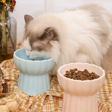 疯狂小狗 猫碗陶瓷护颈防打翻猫咪食盆宠物高脚碗猫粮碗水碗狗碗宠物用品 疯狂的小狗
