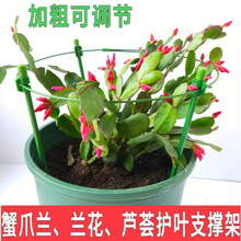 蟹爪兰支架兰花架芦荟支撑杆室内植物花架子吊兰单层花支架 花架1个 调节型3杆1圈圈径28厘米