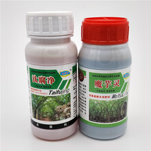 汰腐净魔芋灵魔芋防病药软腐病魔芋专用叶面肥魔芋专用 魔芋灵1盒