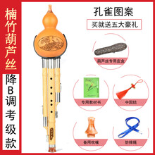 葫芦丝乐器初学者c调降b调儿童小学生入门演奏成人男女自学 楠竹考级款降B调(孔雀图案)