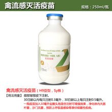 鸡疫苗鸽疫苗新城疫 禽流感 法氏囊 马立克 鸡痘 传支 霍乱 鸡瘟 禽流感H9灭活苗1瓶价21年3月31到期