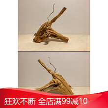 杜鹃根树根沉木水草造景鱼缸木头小型水榕免煮天然沉木细莫斯树形 E4008