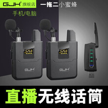 gjk手机电脑usb无线直播录音话筒网络授课教学领夹式一拖二小蜜蜂麦克风网络K歌公司视频会议语音聊天 一拖一
