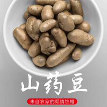 河南焦作温县新鲜铁棍山药豆 铁杆怀山约豆5斤山药蛋 山药豆 生鲜 5斤