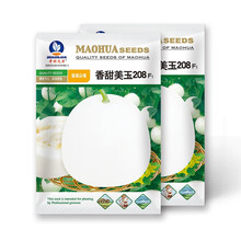 中科茂华瓜果种子香甜美玉208白皮白肉甜瓜种子皮薄肉厚白瓤香瓜種子10克