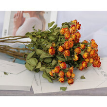 云南满天星干花真花花束客厅摆设装饰风干多头泡玫瑰网红ins北欧 狂欢泡泡10枝 干树枝