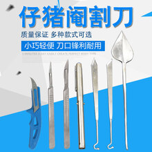 七六牧业小猪兽用猪用仔猪阉割敲猪刀阄劁割淹阉劁腌猪刀斜口煽猪刀去势刀 柳叶阉割刀一把