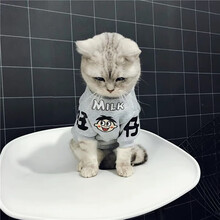 猫咪衣服春夏季薄款防掉毛网红可爱春秋款T恤小狗狗宠物猫猫衣服 夏款T恤(灰色) S