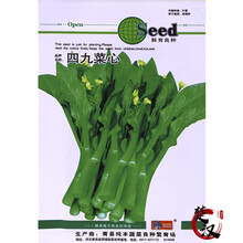 花友秀 蔬菜种子 菜籽 四九菜心 红菜苔  甜脆菜心种子 家庭阳台 园艺休闲  菜心种子 家庭种植 四九菜心种子原装7g
