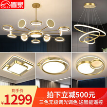 置家 灯具套餐三室两厅北欧轻奢吊灯客厅灯led餐厅卧室现代简约网红分子灯全屋灯具套装组合 套餐6 三室两厅（无极遥控）12头大客厅