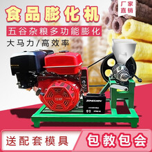 甄樽（ZHENZUN） 玉米膨化机多功能食品玉米大米麻花空心棒商用膨化机香酥果柴油米花棒机 电机机架+单机