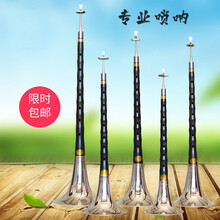 唢呐乐器优质乌木唢呐初学者成人唢呐全套民族乐器抖音同款 乌木D调黄碗+九重礼品