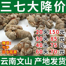 文山三七直播打粉500克直播打粉更放心 40头500克（委托打粉）