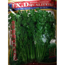 四季大叶香菜籽阳台盆栽四季耐热芫荽种子农家庭院种籽蔬菜种子 全年耐抽苔耐热香菜【原装】500