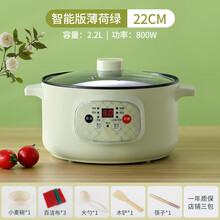 FEDAIR全自动电炖锅家用多功能煮粥神器2人3人快速熬煮粥煲粥稀饭锅 薄荷绿【智能版】22cm麦饭石 收藏+礼