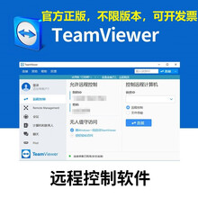 TeamViewer 15远程控制监控软件 远程桌面软件1年使用期限 Business 单用户