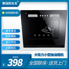 好太太大吸力迷你公寓小型抽油烟机550mm600mm宽小尺寸小户型油烟机侧吸式380mm500出租屋 600按键标配