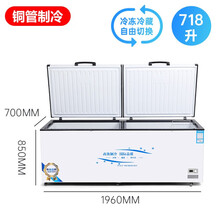 商用冷柜冰柜超大容量卧式节能冷冻冷藏单温冻肉家用冷柜 718单温1950×700×830mm