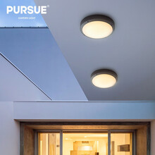 PURSUE阳台吸顶灯壁灯过道防水灯简约创意吸顶灯户外室外防水防虫露台 太空灰-直径220mm-12W