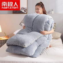 南极人 羊羔绒被子冬天 加厚加绒春季学生棉被双人单人被芯被褥子空调被 羊羔绒-灰色FB【加厚加绒 保暖舒适】 180*220cm/6斤