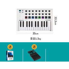 Arturia MIDI键盘 25键 MiniLab MKII音乐编曲 便携 25键 【25键迷你琴键】+踏板+Anolog Lab正版