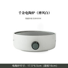 FEDAIR迷你小型电陶炉茶炉静音泡茶煮茶炉煮茶器电热烧水壶玻璃 千余禅风白