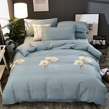 睡寐家纺 全棉加厚被套单件 冬季纯棉磨毛保暖单被套学生宿舍被套单品双人被罩 伊莲娜 160*210cm-单件被套