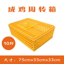 鸡笼周转箱 运输笼鸽笼筐装鸡笼鸭笼鹅塑料鸡笼子鸡运输框鸡笼家用 10斤方形笼33高