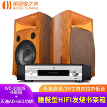 美丽安之声旋木号角音箱10英寸发烧HIFI高保真号角无源音响音箱 WZ-1000S书架音箱+AD-66D功放