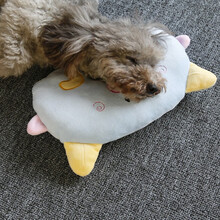 宠物枕头狗狗专用睡觉小枕头法斗抱枕泰迪博美比熊中小型犬猫咪用 椭圆猪猪枕头蓝色
