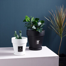 恰好时光 北欧简约花盆陶瓷文艺个性小清新绿萝盆景绿植家居带托盘 15*15*14带托